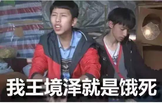 变形计表情包王泽,变形计表情包背后的搞笑达人